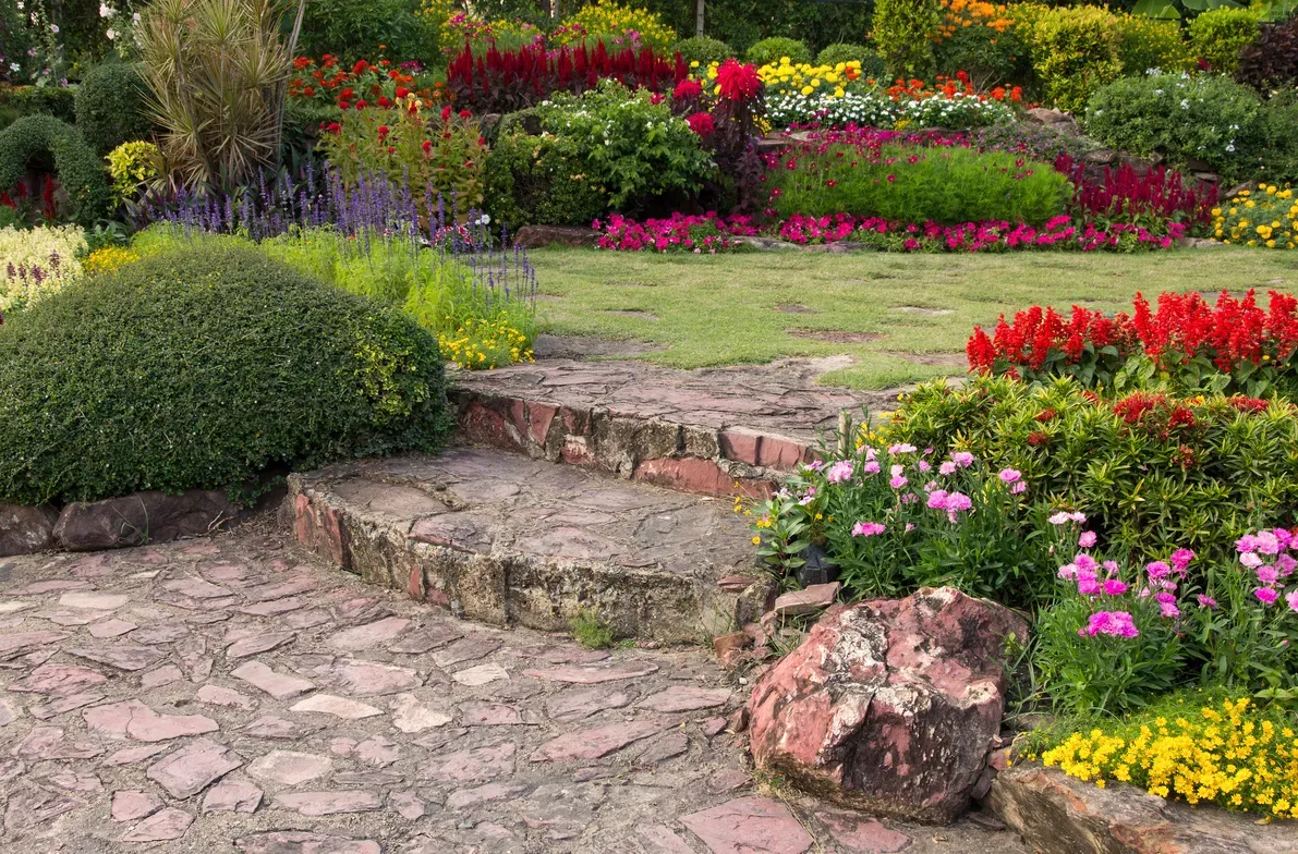 Création de jardin